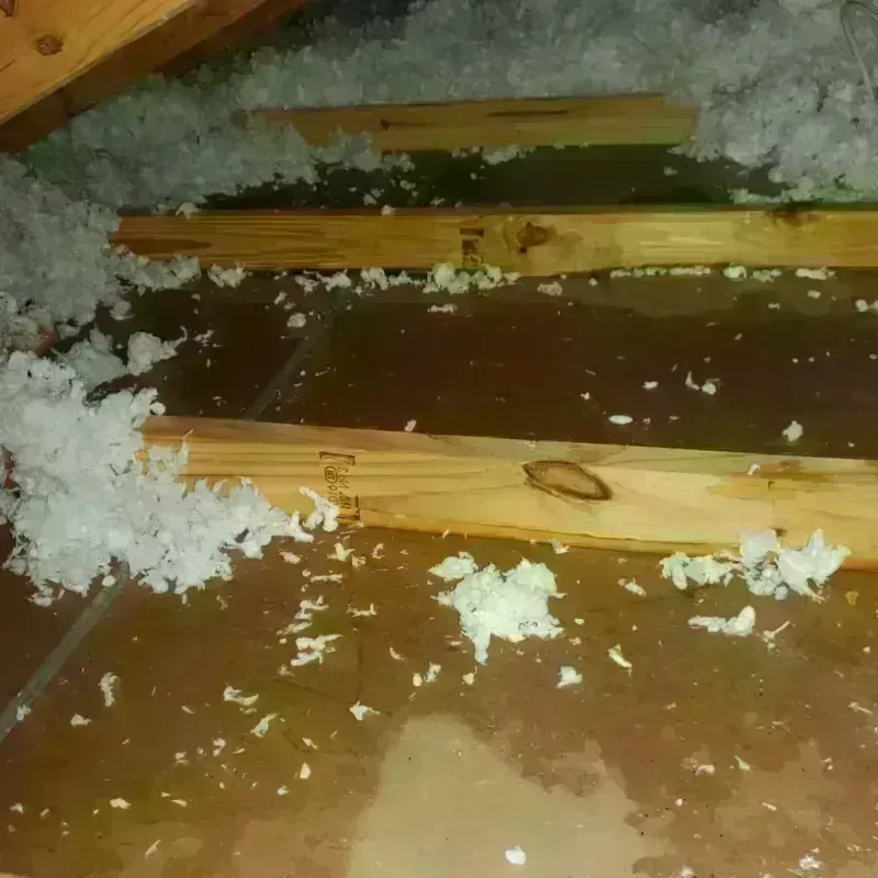 Attic Water Damage in Pulaski County, IL