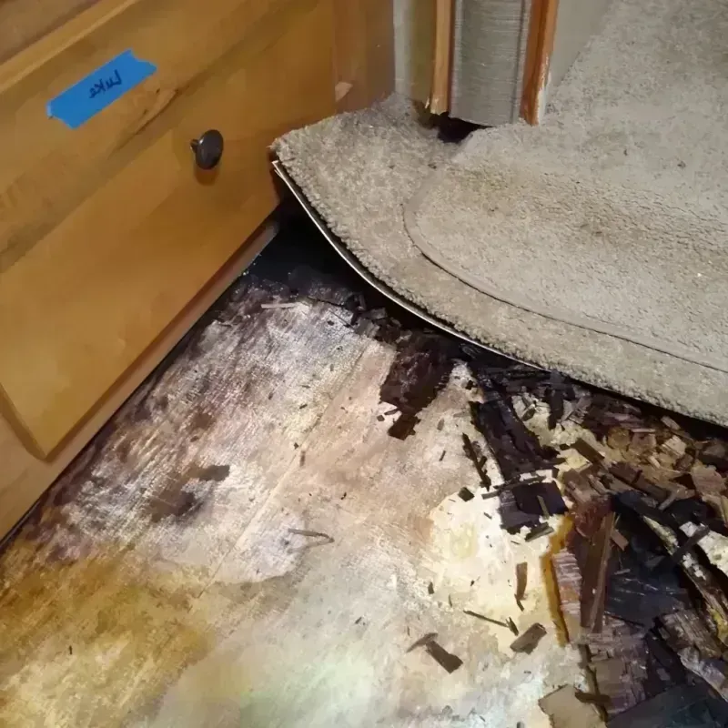 Best Wood Floor Water Damage Service in Pulaski County, IL